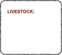 
    LIVESTOCK:
   